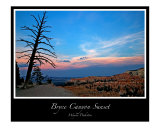 Bryce Canyon Sunset