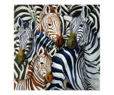 Zebras' Quadrille