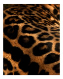 Beautiful Fur Coat