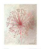 Allium Seedhead II