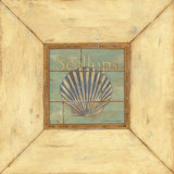 Scallops on Blue