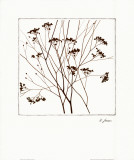 Autumn Whimsy III
