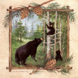 Black Bears II