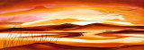 Lost in the Desert I