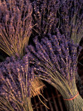 Lavender Bunches  Bouches-du-Rhone  France