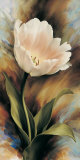 One Tulip