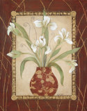 Iris Revival
