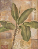 Tropical Spirit I