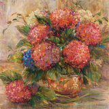 Hydrangea II