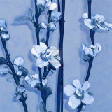Plum Blossom III