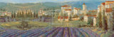 Provencal Village