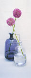 Allium I