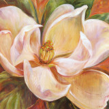 Magnolia Glow I
