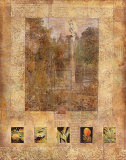 Botany Journal II