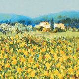 Lemon Grove  Tuscany
