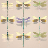 Floating Dragonflies I