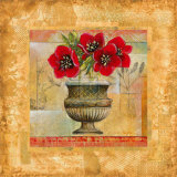 Rojo Botanical V