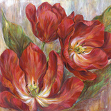 Tango Tangerines
