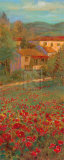 Provencal Village VI