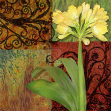 Clivia II