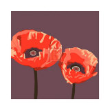 Poppies