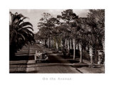 On the Avenue
