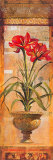 Rojo Botanicals IV