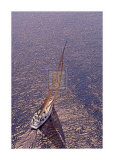 Silver Sea II