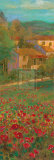 Provencal Village VI