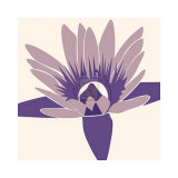 Water-Lily