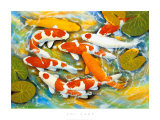 Koi