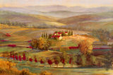 Tranquil Tuscany