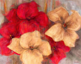 Lily Reds II