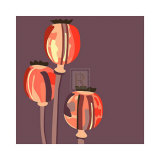 Poppy Pods
