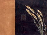 Golden Beauty I