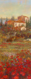 Provencal Village V