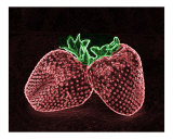 Neon Berries