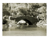 Gapstow Bridge and the Pond in Central Park