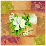 Magnolia Montage