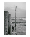 The Old Sea
