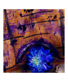 Cult pop flower on canvas