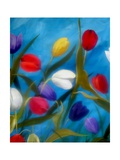 Tulips Galore III