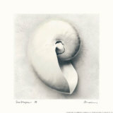 Sea Shapes III
