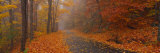 Autumn Road  Monadnock Mountain  New Hampshire  USA