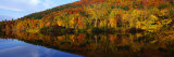 Connecticut River  Brattleboro  Vermont  USA