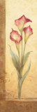 Grandiflora III