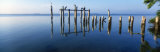 Birds on Pier  Everglades National Park  Florida  USA