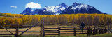 Last Dollar Ranch  Ridgeway  Colorado  USA