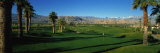 Golf Course  Desert Springs  California  USA