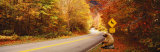 Autumn Road with Bear at Deer Crossing Sign  Vermont  USA